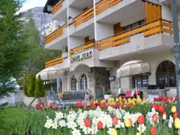 Hotel Alex