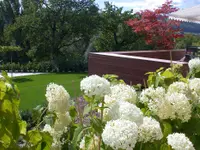 Rothenbühler Gartenbau AG