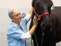 Tierklinik Leimental - cliccare per ingrandire l’immagine 9 in una lightbox