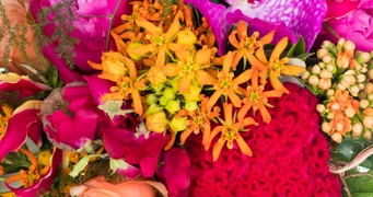 Wuillemin Fleuristes SARL