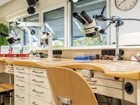 Müller Dental-Technology