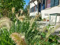Bärtschi Gartenbau AG