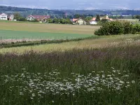 Gemeindeschreiberei Einwohnerkontrolle Kallnach