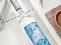 Artemisia Distillerie SA, Absinthe du Val-de-Travers