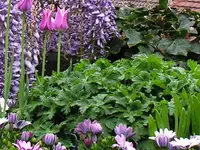 GROGG GARTENBAU