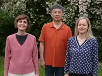 Praxis Dr. med. CHEN | Akupunktur und TCM | FMH Orthopädie