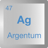 Argentum Software Sagl-Logo