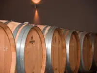 Baumgartner Weinbau AG
