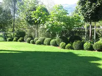 JEHLE Garten + Floristik AG