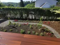 Bison Gartenbau AG