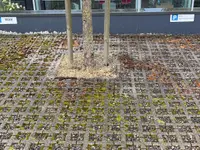 Gebäudereinigung RUPPANNER Hauswartungen KECKEX.swiss