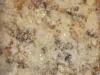 La Piccola Roma - Pizzeria Rosticceria - Locarno - Pizza a domicilio