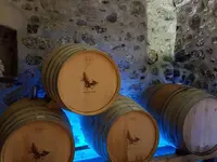 Badan Vins