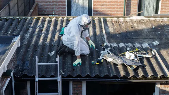 Hier sind Profis gefragt