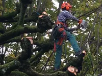 Trois-Chêne Jardins Sàrl – Cliquez pour agrandir l’image 9 dans une Lightbox