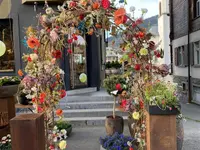 Blumen Candinas / Fluras Candinas