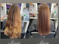 SD Coiffure