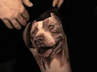 Bad Habits Ink