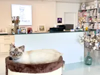 Katzen-Praxis.ch