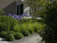 Wild Gartenbau AG