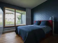 Schwaninger AG