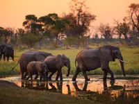 Australasia & Africa Reisen AG - Klicken Sie, um das Bild 3 in einer Lightbox vergrössert darzustellen