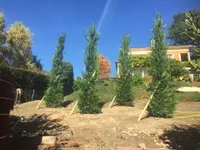 Chervet Jardinier-Paysagiste Sàrl