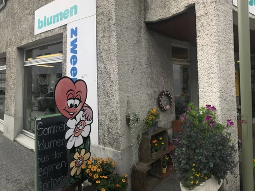 Blumen Zweerus - Cliccare per ingrandire l’immagine panoramica