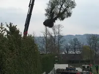 Bernet Gartenbau AG