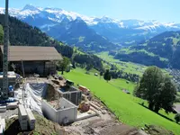 Bowee Gartenbau AG - Klicken Sie, um das Bild 3 in einer Lightbox vergrössert darzustellen