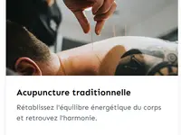 Yin Yang Acupuncture les 5 éléments Sàrl