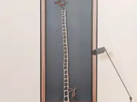 von Rohr Holzbau AG