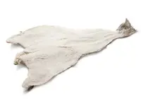 Euro Peixe SA