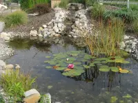 Wernli Gartenbau GmbH