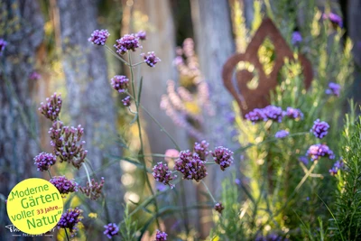 Gardens for Living by Moor-Nebel Gärten