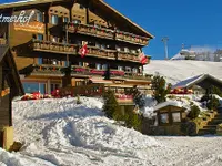 Hotel Bettmerhof