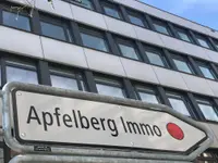 Apfelberg ImmoService & -Treuhand AG