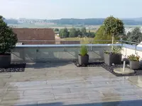 Moser Service rund um Haus & Garten Gmbh