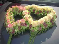 hollenstein blumengarten ag, Blumenshop, Gärtnerei, Gartenbau