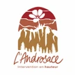 L’Androsace