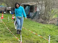 4happypets.ch, Inhaberin Schön