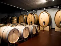 La Cinquième Saison SA