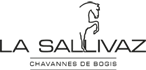 Manège de la Sallivaz & Poney club-Logo