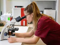 Tierklinik Rossweid - Klicken Sie, um das Bild 8 in einer Lightbox vergrössert darzustellen