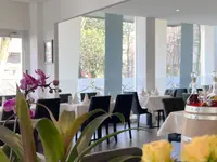 Pizzeria Pisco