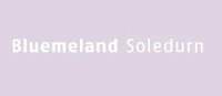 Bluemeland Soledurn GmbH-Logo