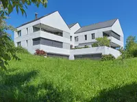 brauneroth ag