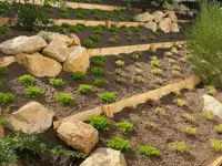 Dober Märchy Gartenpflege GmbH