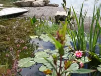 Wick Naturgarten GmbH