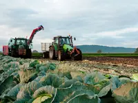 Dreyer AG - Früchte, Gemüse, Tiefkühlprodukte - Klicken Sie, um das Bild 8 in einer Lightbox vergrössert darzustellen